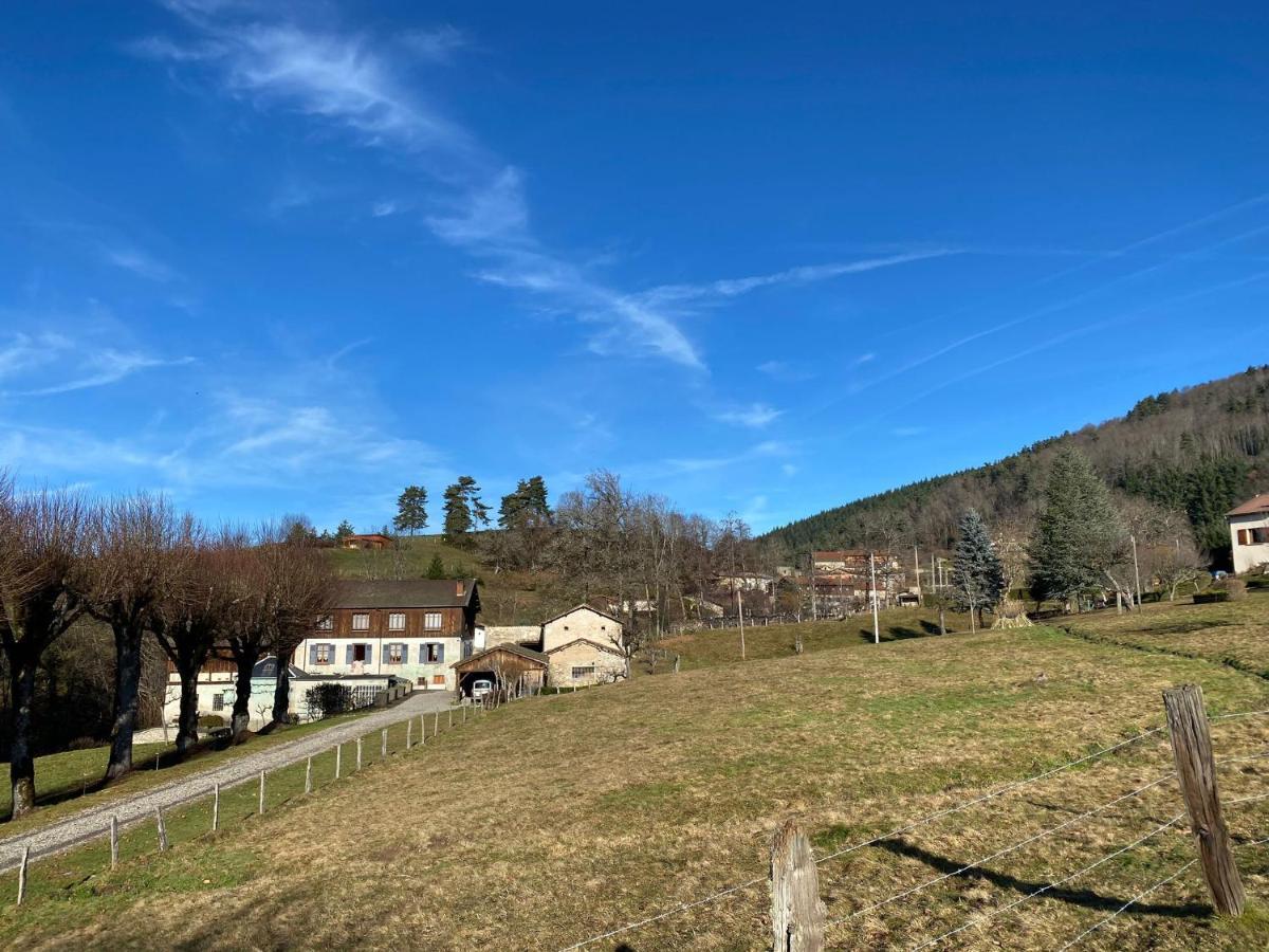 앙베르 La Vaisse B&B 외부 사진
